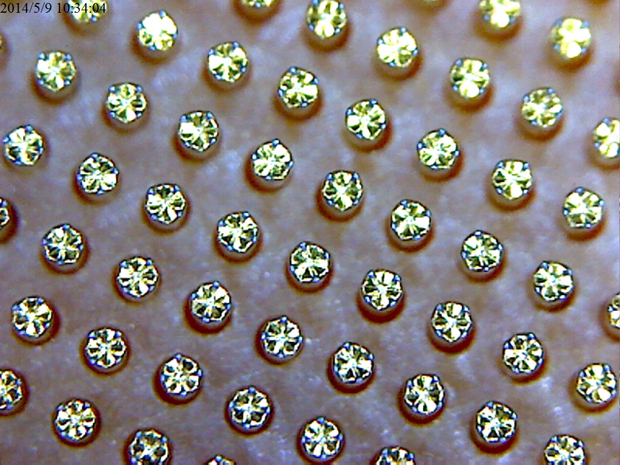 �ʹ���̽�����